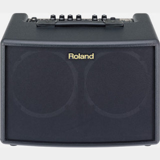 RolandAC-60