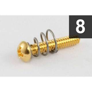 ALLPARTS Pack of 8 Gold Single Coil Pickup Screws【7542】【旧価格】