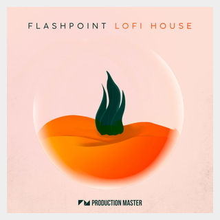 PRODUCTION MASTER FLASHPOINT - LOFI HOUSE