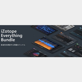 iZotopeEverything Bundle