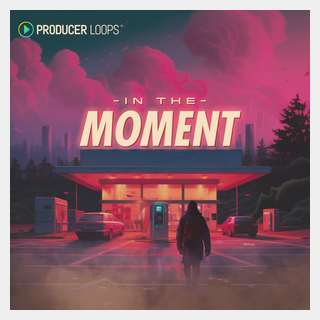 PRODUCER LOOPSIN THE MOMENT