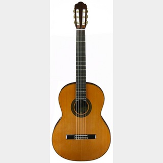 ARIAA-50C クラシックギター ギグケース付き