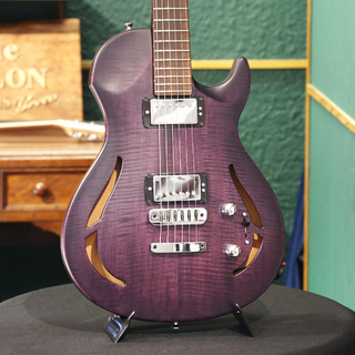 Vigier Guitars G.V. Series G.V.Wood Hollow, VGV-CWHW, Purple Fade