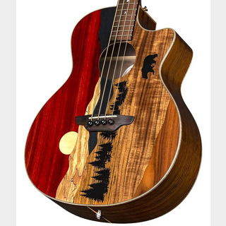 Luna Guitars Vista Bear Acoustic Bass A/E With Hardshell Case【オンラインストア限定】《5月頃入荷予定!!》