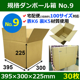 In The Box 【宅100】規格ダンボール箱No.9「30枚」395×300×225mm B4サイズ対応
