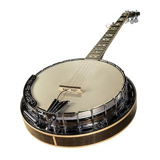 L.R.Baggs Banjo用P.U