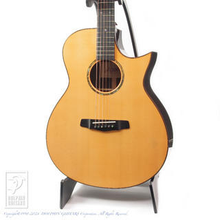 Altamira Guitars A650C
