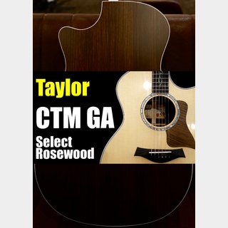 Taylor【個体演奏動画あり】CTM GA -Select Rosewood J-Spec【アンディパワーズ選定】【担当の理想の音】