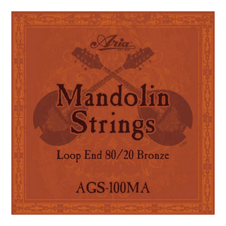 ARIAAGS-100MA Mandolin マンドリン弦