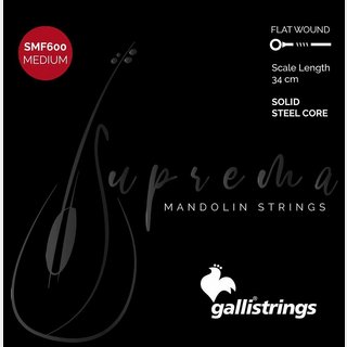 Galli Strings SMF600 Medium マンドリン弦 .010-.033【WEBSHOP】