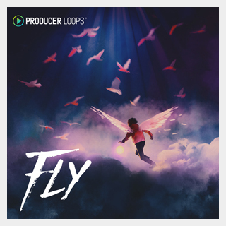PRODUCER LOOPS FLY