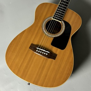 ARIA AFN-15 Natural アコースティックギター【現物写真】