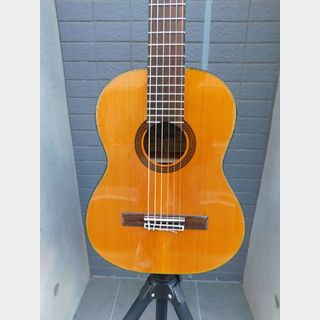 ARIA A-20-48 ミニガットギター