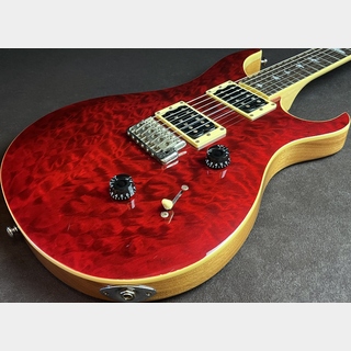 Paul Reed Smith(PRS)SE Custom 24 Quilt Limited