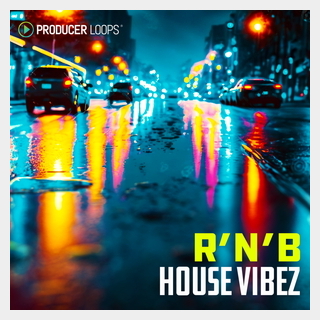 PRODUCER LOOPS R&B HOUSE VIBEZ