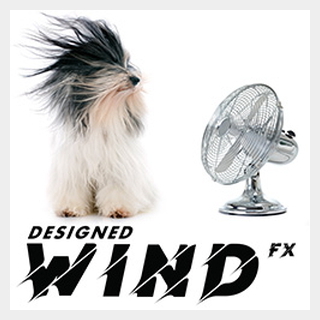 SOUND IDEAS DESIGNED WIND FX