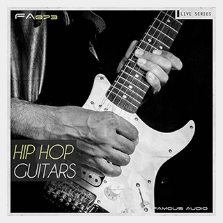 RV_samplepacks HIP HOP & SOUL GUITARS