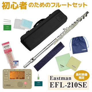 Eastman EFL-210SE フルート 手入れセット・変色防止布・湿度調整剤・チューナー付き