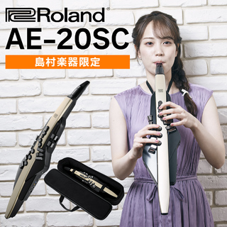 Roland AE-20SC 島村楽器限定モデル ゴールドカラー 追加音源付属 エアロフォン ウインドシンセサイザー 新モデル