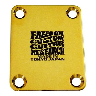 FREEDOM CUSTOM GUITAR RESEARCH SPJP04 3mm ブラス Gold Tone Shift Plate