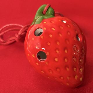 フォーカリンクF-K-06