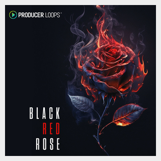PRODUCER LOOPS BLACK RED ROSE