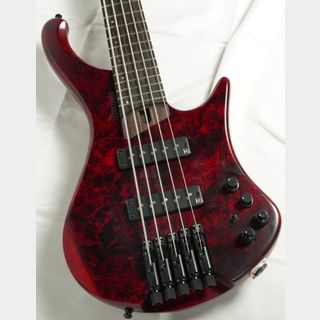 Ibanez EHB1505-SWL (Stained Wine Red Low Gloss)/現物画像・数量限定SPOTモデル