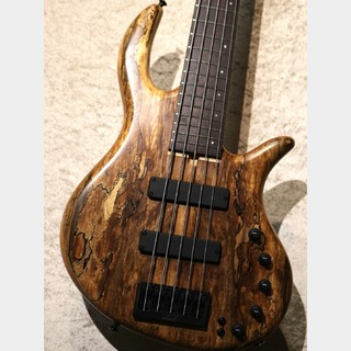 Elrick Gold Series e-volution 5 -Spalted English Walnut-【3.77kg】