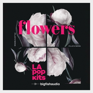 bigfishaudio FLOWERS - LA POP KITS