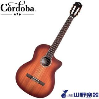 Cordoba エレガットギター C4-CE / Edge Burst