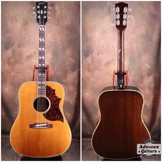 Gibson1967 Country Western -SJN-