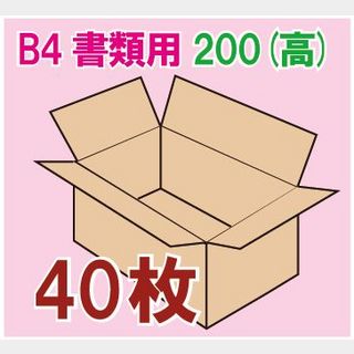 In The Box 書類用ダンボール箱 「B4書類サイズ(390×265×200mm) 40枚」