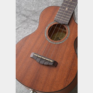 IbanezUEW5EJ-OPN (Open Pore Natural Flat) (コンサートウクレレ) (送料無料)