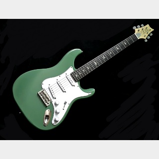 Paul Reed Smith(PRS) SE Silver Sky Evergreen