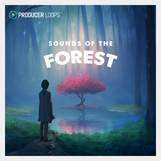 PRODUCER LOOPS SOUNDS OF THE FOREST