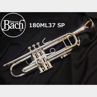 Bach180ML37(佐藤 友紀先生選定品)【船橋店】