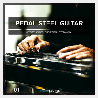 IMAGE SOUNDS PEDAL STEEL GUITAR 1