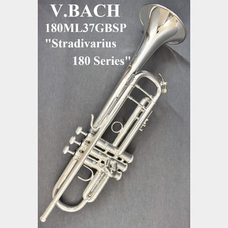 V.Bach  180ML37GBSP【新品】 【バック】【ゴールドブラスベル】【Stradivarius180】【横浜店】