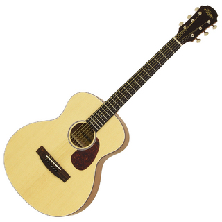 ARIA ARIA-151 MTN ミニアコーステックギター ナチュラル 艶消し塗装 キッズギター ケース付属