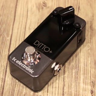 tc electronic DITTO + LOOPER 【心斎橋店】