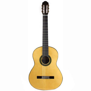 ARIA A-100S クラシックギター ギグケース付き