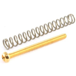ALLPARTS PACK OF 4 GOLD HUMBUCKING SCREWS/GS-0012-002【お取り寄せ商品】