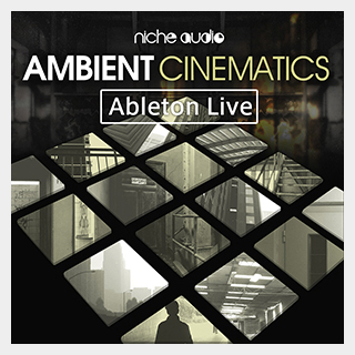 NICHE AUDIO AMBIENT CINEMATICS - LIVE
