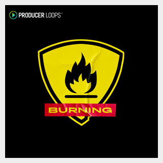 PRODUCER LOOPS BURNING