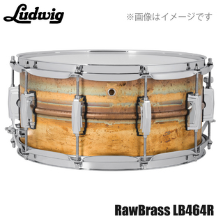 LudwigLB464R [ Raw Brass Phonic 14"×6.5" ]【ローン分割手数料0%(12回迄)】