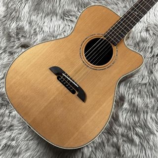 K.Yairi WY-1 N エレアコギター エレクトリックシリーズ WY-1