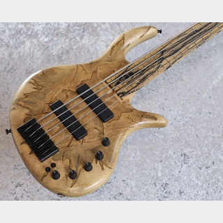 Elrick Gold Series e-volution 5 Bolt-on 35inch Ambrosia Maple  Top【3.97kg】