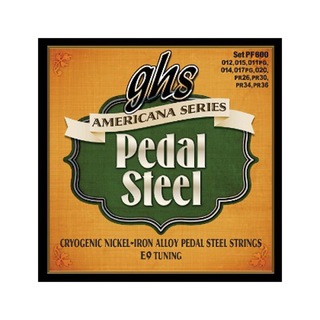 ghsPF600 AMERICANA SERIES PEDAL STEEL E9 Tuning 10弦ペダルスチールギター弦