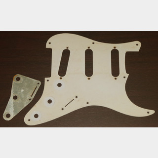 Fender1956年製 Pickguard for Stratocaster w/Shield Plate