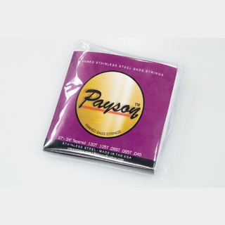 payson stringsPayson Fanned SS 5 String Set【GIB横浜】